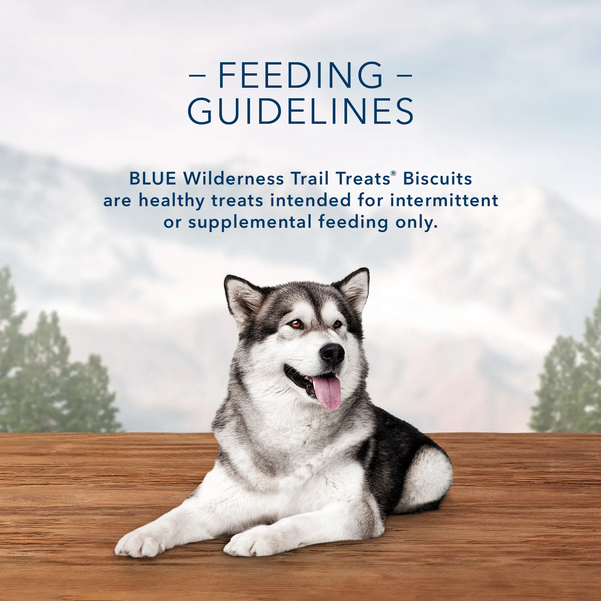 Blue Buffalo Wilderness Trail Treats High Protein Grain Free Crunchy Dog Treats Biscuits, Salmon Recipe, 10-oz Bag