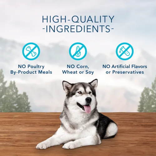 Blue Buffalo Wilderness Trail Treats High Protein Grain Free Crunchy Dog Treats Biscuits, Salmon Recipe, 10-oz Bag