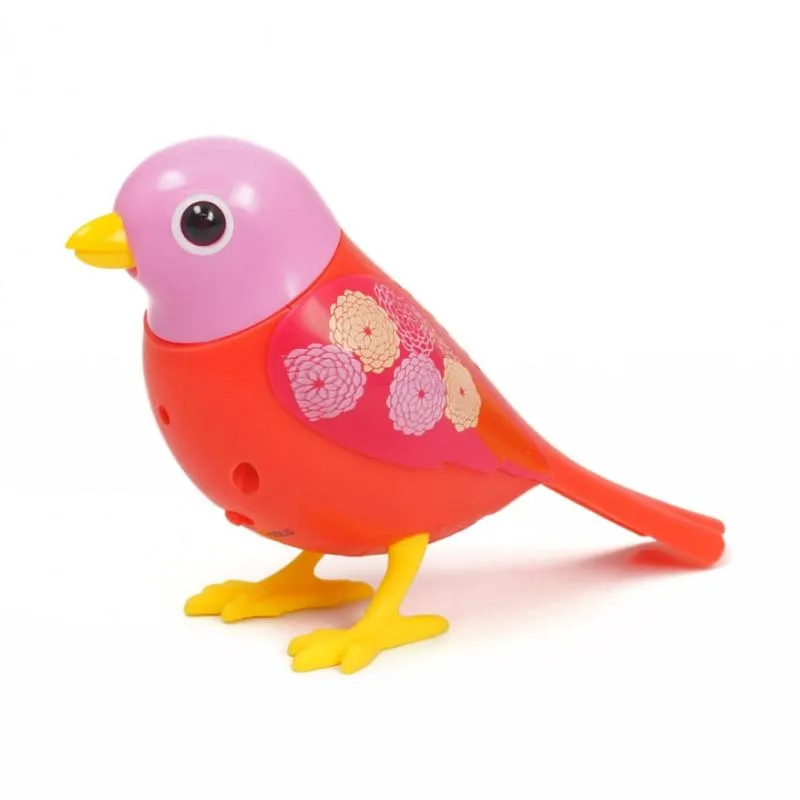 Digibirds (Assorted Styles)