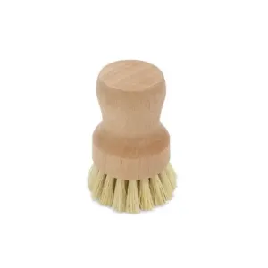 Natural Dish Brush (Small)